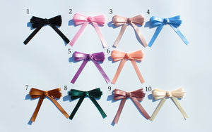 fruit color leather loopbow ribbon